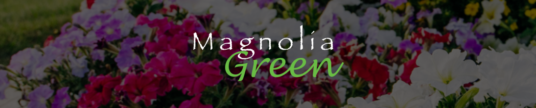 Magnolia Green
